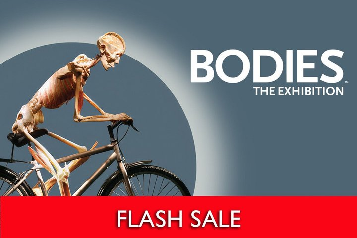 Bodies The Exhibition Tickets at the Luxor Hotel and Casino - Photo 1 of 17